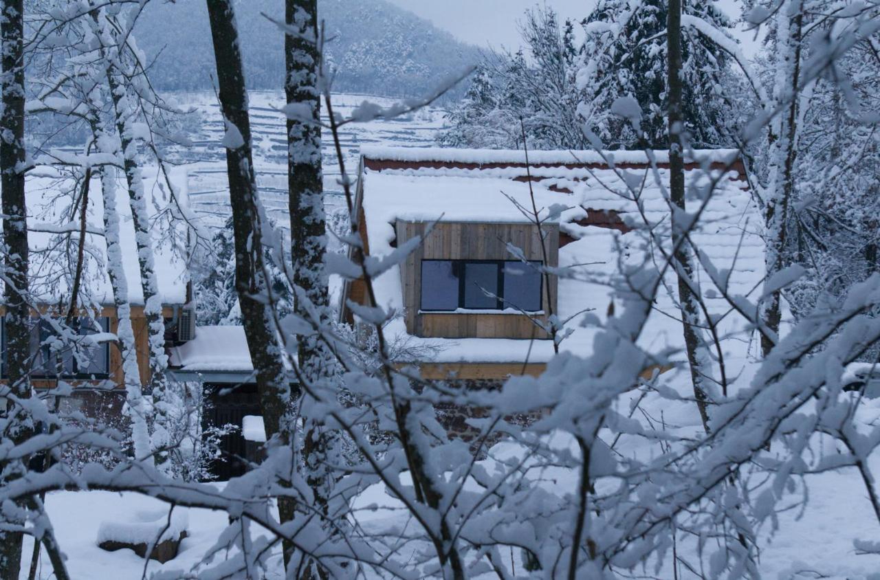 Le Grand Petit Prince - Domaine De Charme - Jacuzzis Privatifs ゲブビレル エクステリア 写真