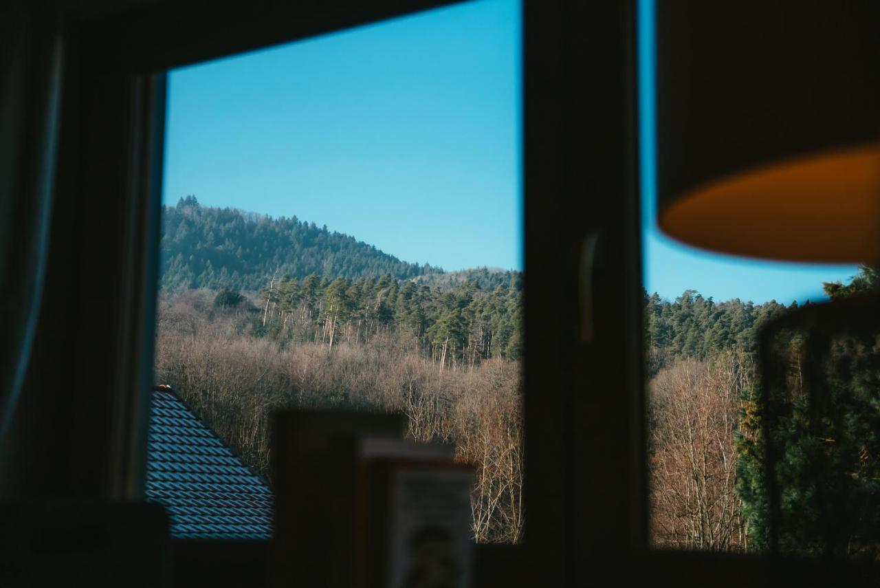 Le Grand Petit Prince - Domaine De Charme - Jacuzzis Privatifs ゲブビレル エクステリア 写真